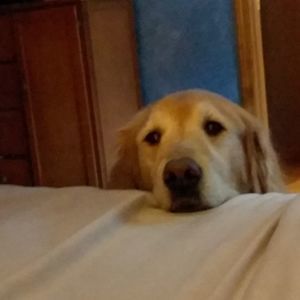 Meet your Posher, Tamie